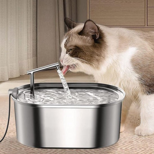 Fontaine à eau chat - Ondine Féline™ - Transportdodochat