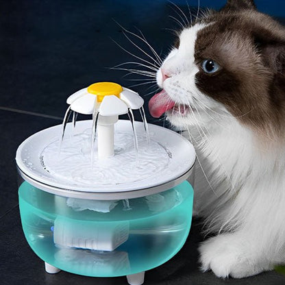 Fontaine à eau pour chat bleu chat entrain de boire