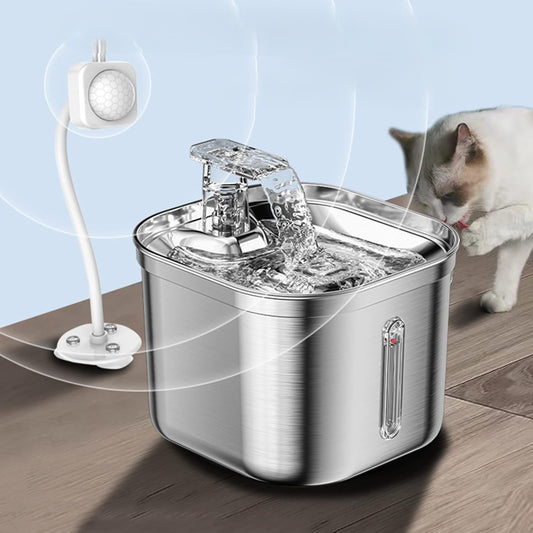 Fontaine à eau pour chat inox avec capteur visible