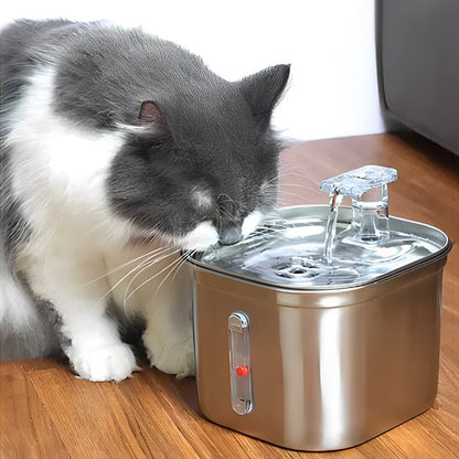 Fontaine à eau pour chat inox chat a soif