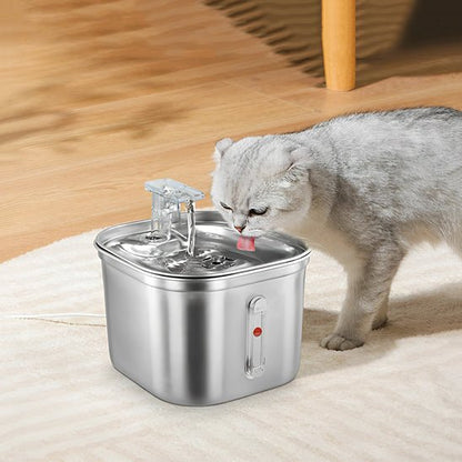 Fontaine à eau pour chat inox chat boit