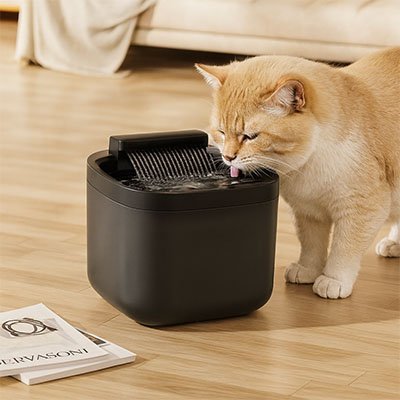 Fontaine eau chat | Silencia Pure™ - Transportdodochat