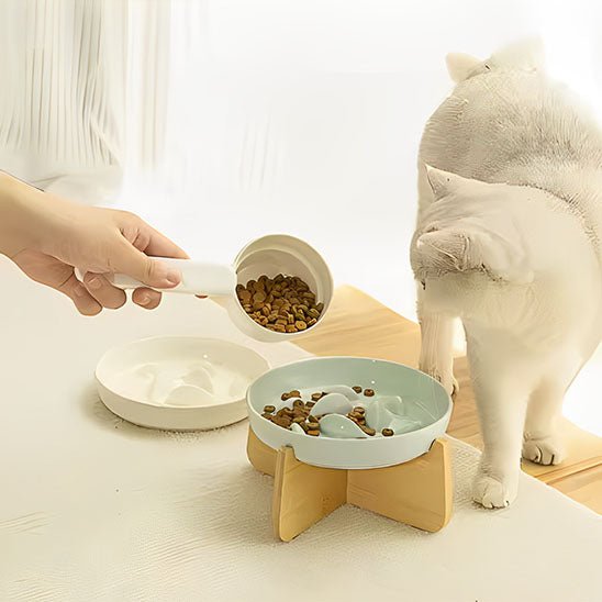 Gamelle anti glouton chat céramique verte pale chat affamé