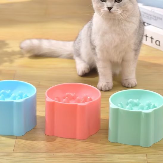 Gamelle anti glouton chat bleu pastel corail turquoise