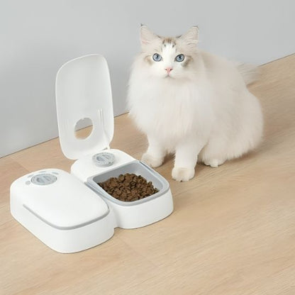 Gamelle automatique chat blanc chat attend manger