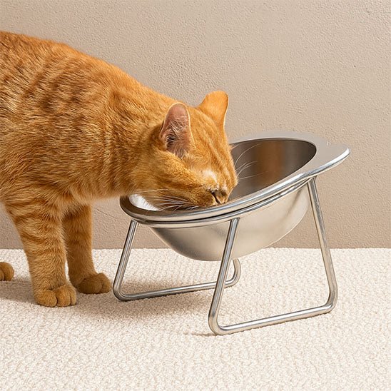 Gamelle chat acier chat mange et boit