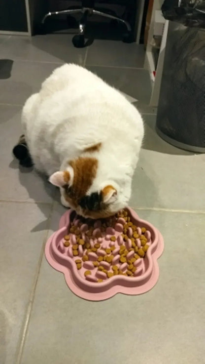 Gamelle chat anti glouton - Douce Dévorette™ - Transportdodochat