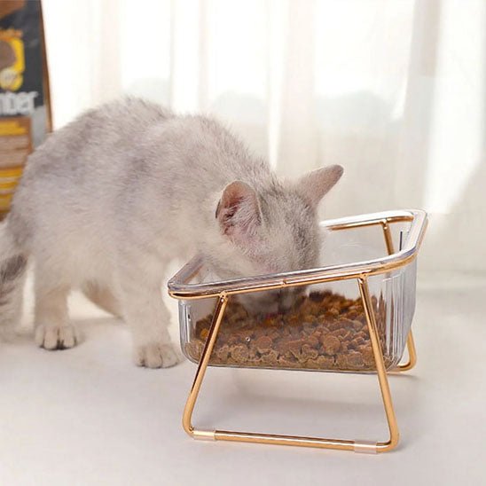 Gamelle chat - Cristal de Minou™ - Transportdodochat