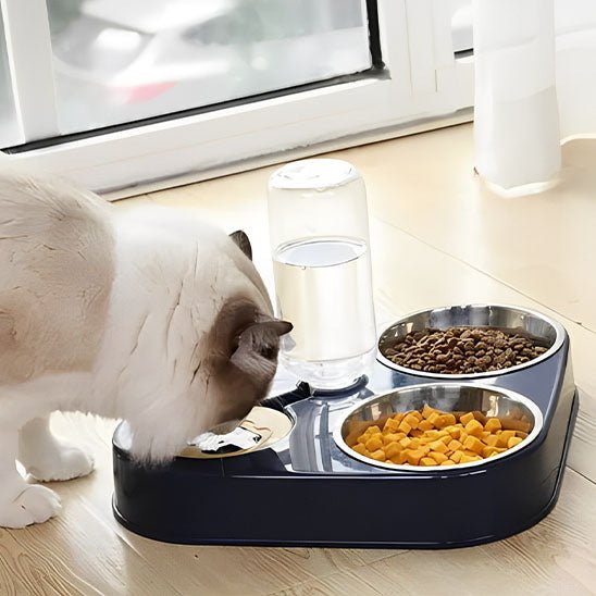 Gamelle pour chat acier base marine chat boit