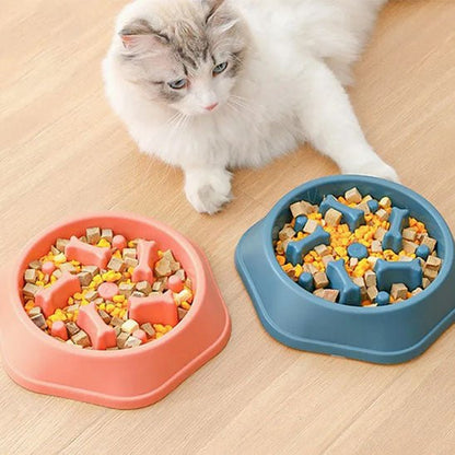 Gamelle pour chat anti-glouton plastique rose verte chat détendu