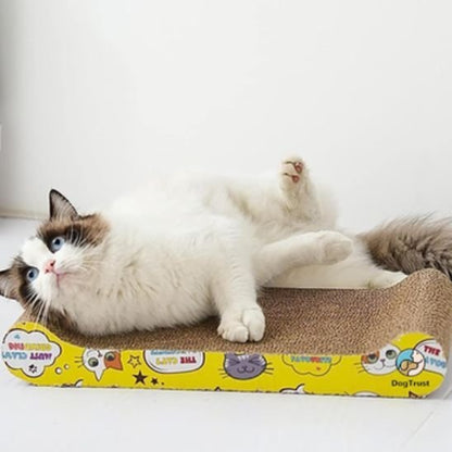 Griffoir a chat | Le Berceau à Griffes™ - Transportdodochat