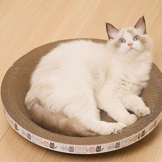 Griffoir chat | Design Protecteur™ - Transportdodochat