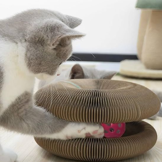 Griffoir pour chat | Dune Féline™ - Accordéon - Transportdodochat