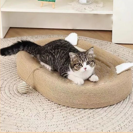 Griffoir pour chat | Grif'Cocon™ - Transportdodochat
