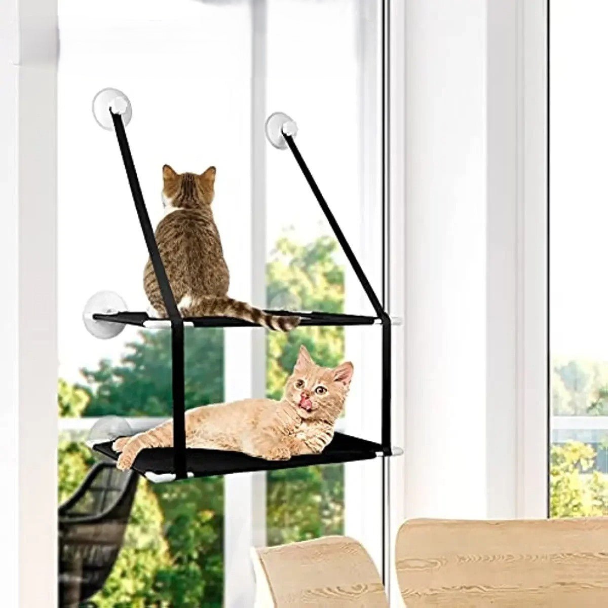 Hamac chat fenetre - Balcon des Minous™ - Transportdodochat