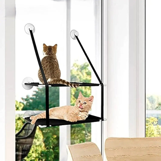 Hamac chat fenetre double chats heureux