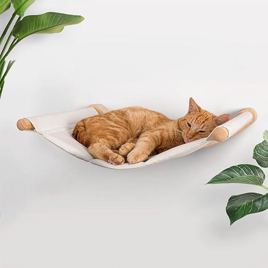 hamac chat mural chat au repos
