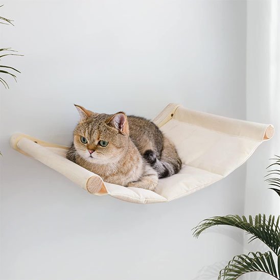 hamac chat mural chat se reposant