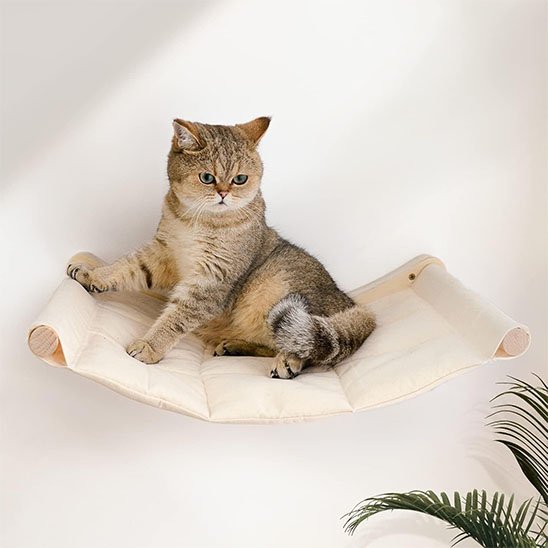 hamac chat mural chaton attentif
