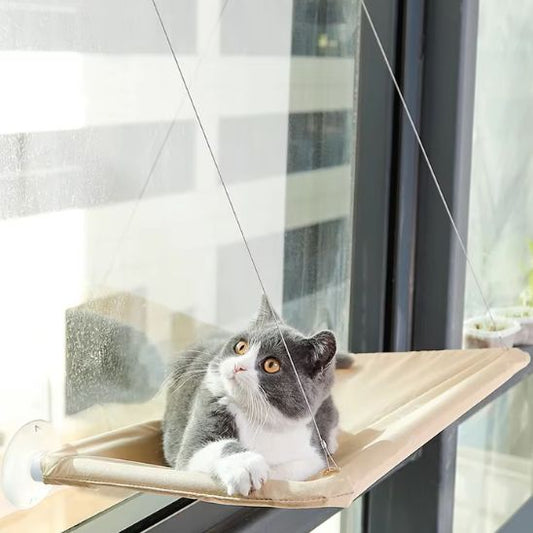 hamac fenetre chat-chat distrait