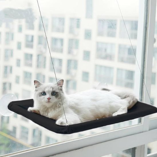 hamac fenetre chat-chat heureux