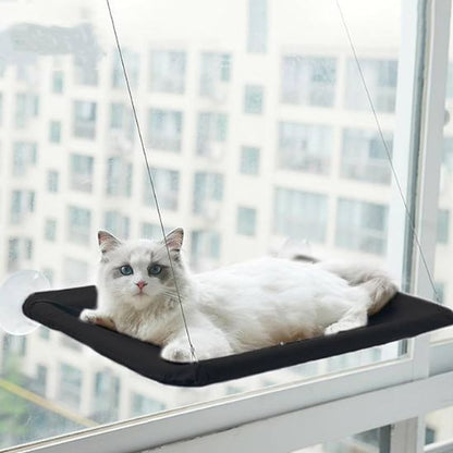 hamac fenetre chat-chat heureux