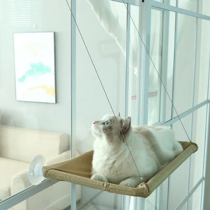 hamac fenetre chat-chat observe
