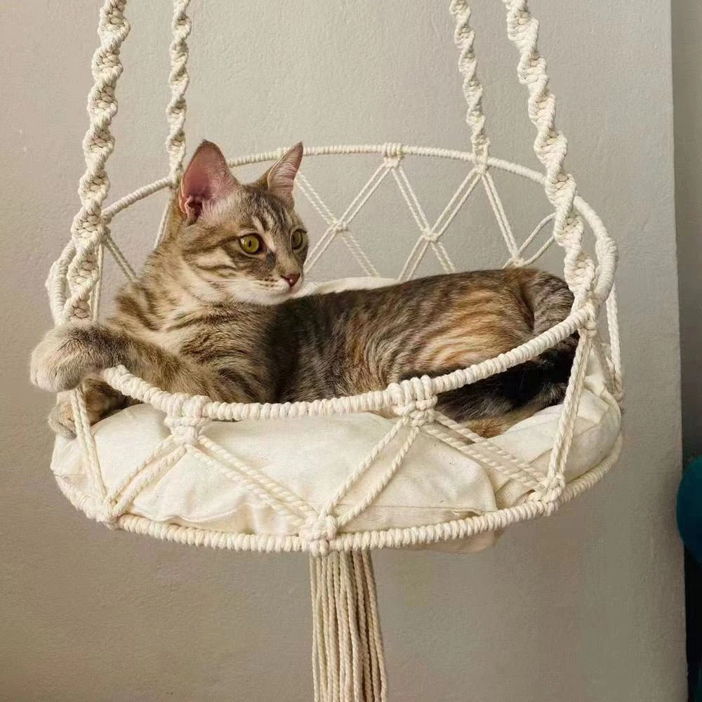 Hamac pour chat-chat curieux