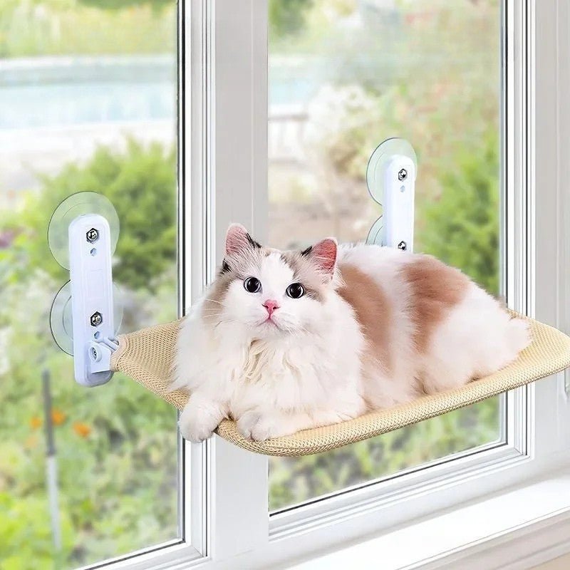 hamac pour chat fenetre beige chat confortable