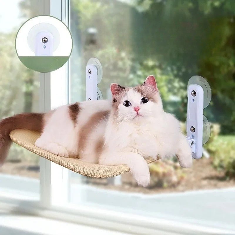 hamac pour chat fenetre beige chat curieux