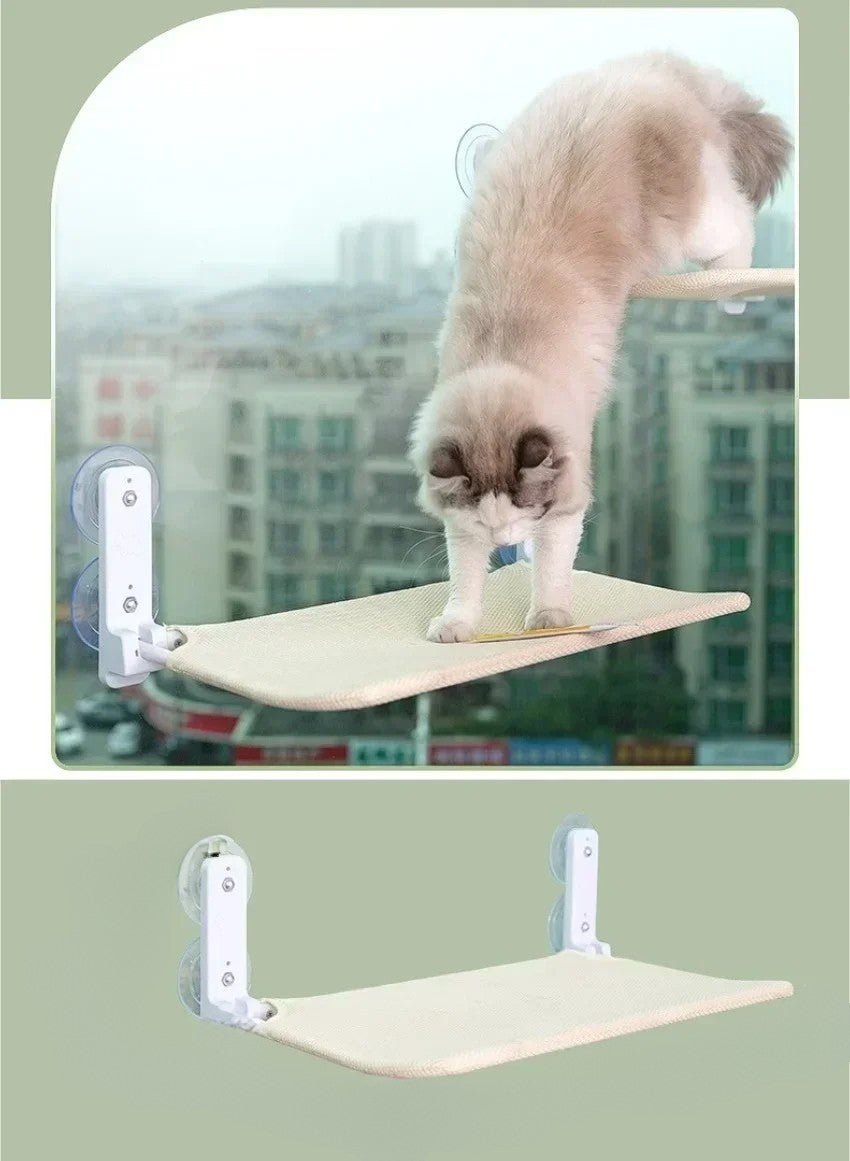 hamac pour chat fenetre beige chat saut