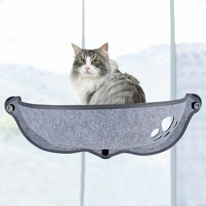 hamac pour chat fenêtre gris chat observateur