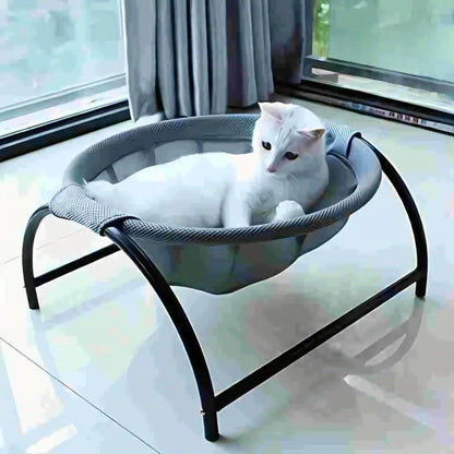 hamac pour chat sur pied chat curieux