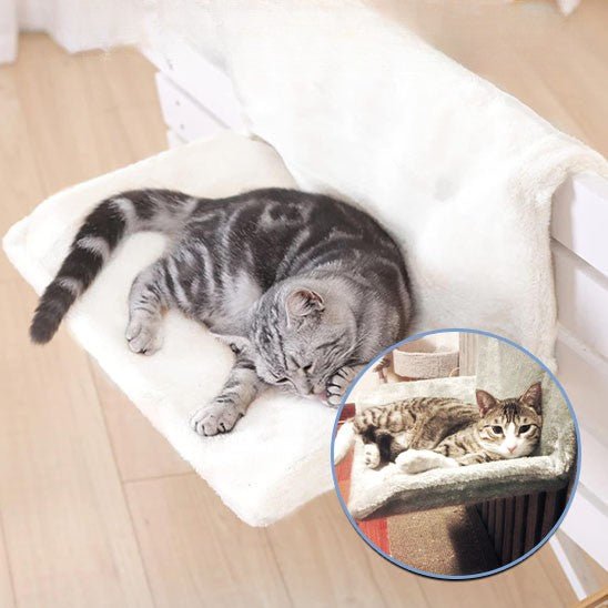 hamac pour chat radiateur blanc chat repose