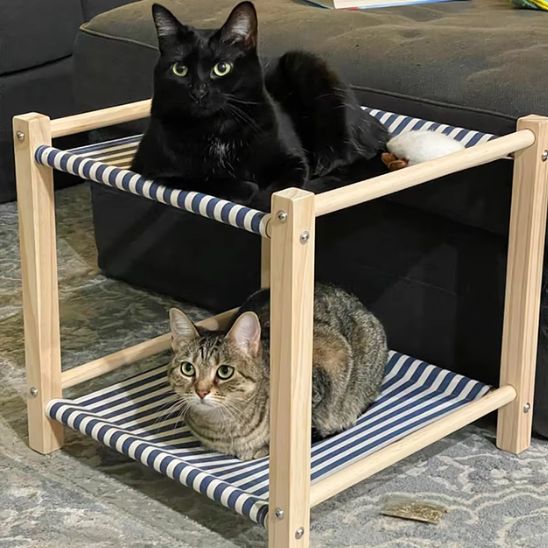 hamac pour chats bleu chats satisfaits