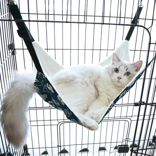 hamac suspendu pour chat bleu chat relax