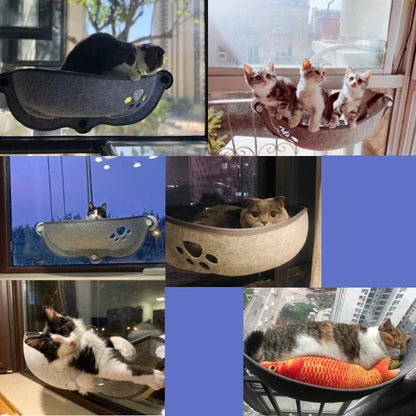 hamacs pour chat fenêtre 