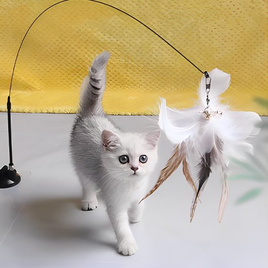 Jouet chat interactif | Intelligence Féline - Transportdodochat