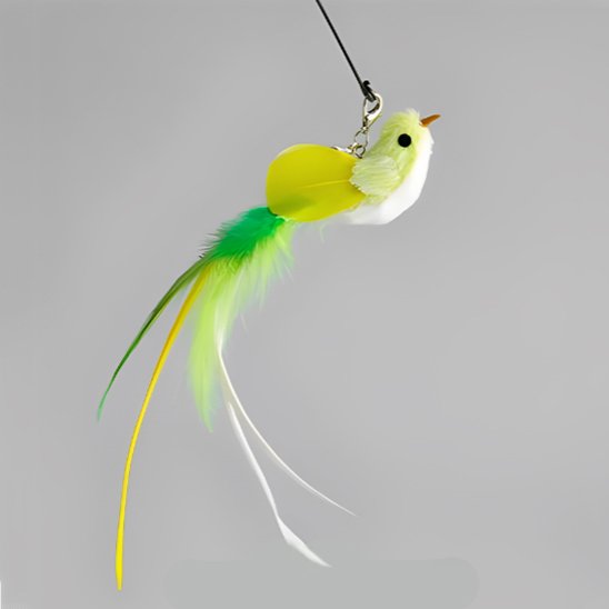 Jouet chat interactif | Intelligence Féline - Transportdodochat