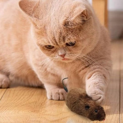 Jouet chat interactif | StimuPlay™ - Transportdodochat