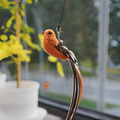 Jouet chat interactif | Intelligence Féline - Transportdodochat