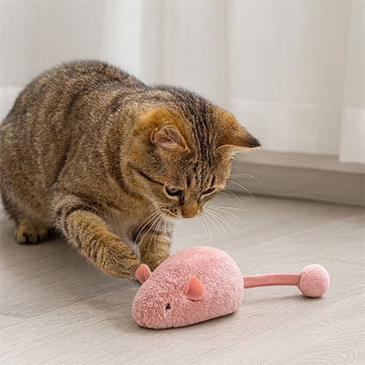 jouet chat interactif rose chat touche jouet