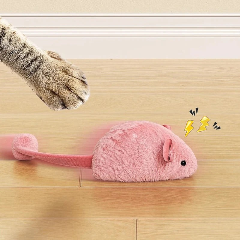 jouet chat interactif poursuivi par chat