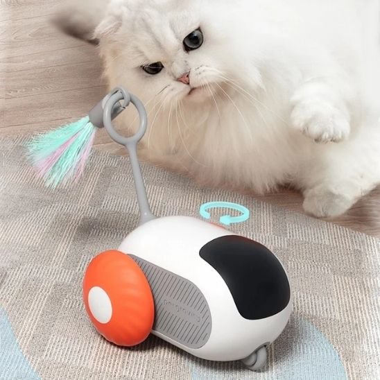 jouet chat rouge chat surpris
