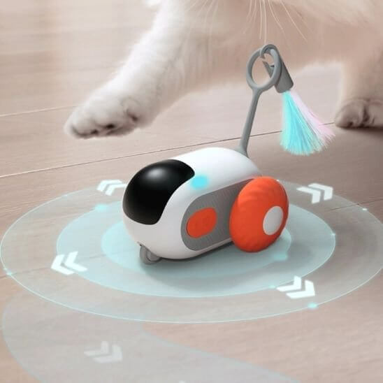Jouet chat rouge en décor