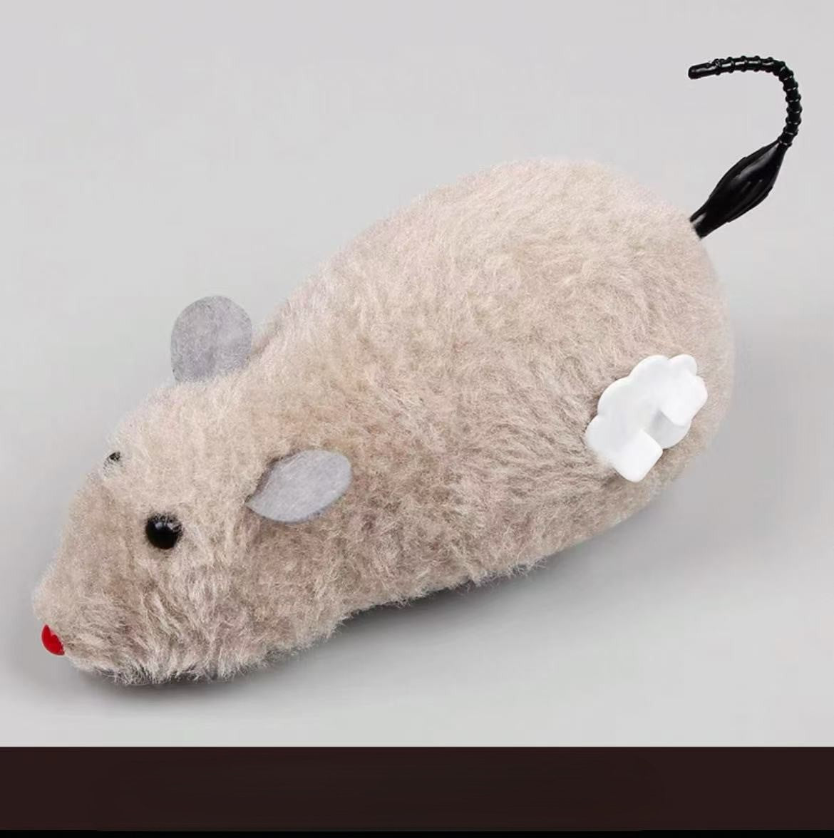 Jouet chat interactif | StimuPlay™ - Transportdodochat