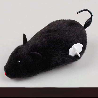 Jouet chat interactif | StimuPlay™ - Transportdodochat