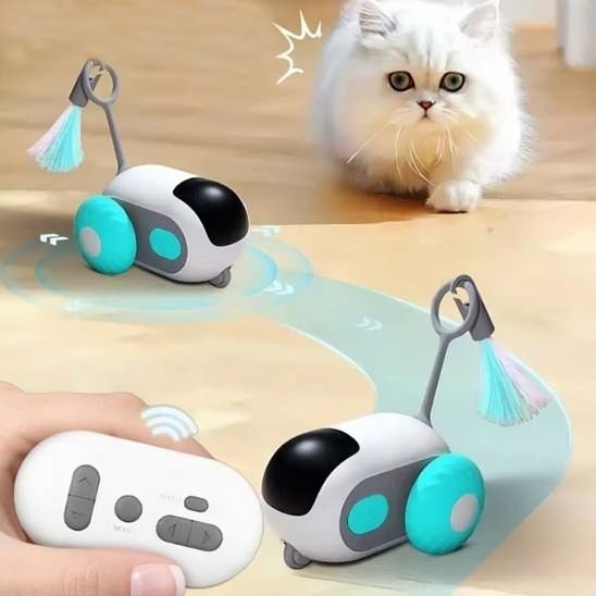 jouet chat turquoise en mouvement chat intéressé
