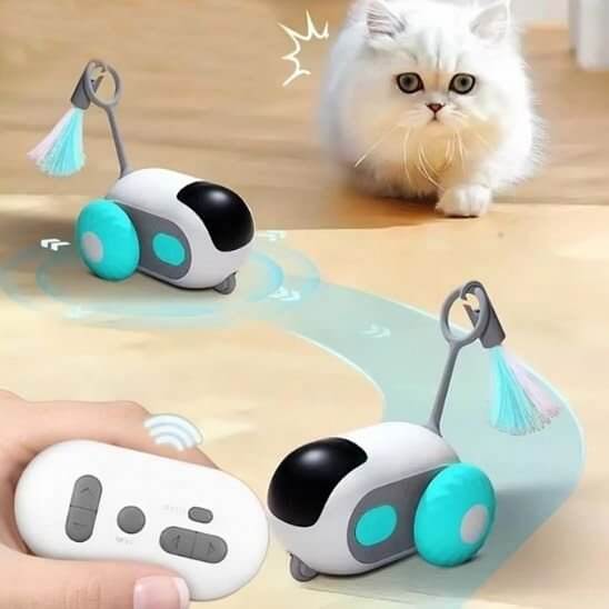 Jouet chat turquoise en mouvement
