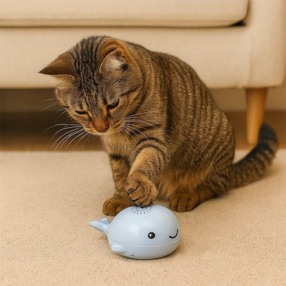 Jouet pour Chat | Baleine Enchantée™ - Transportdodochat